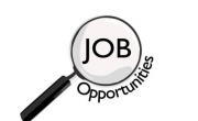 New Job Opportunity